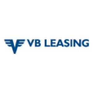 Vb Lizing